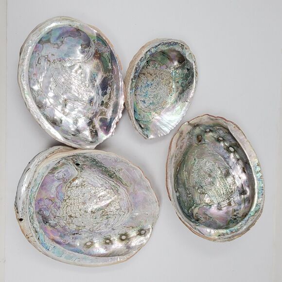 Vintage lot LARGE MOTHER OF PEARL CALIFORNIA ABALONE SHELL UNPOLISHED - Picture 1 of 8